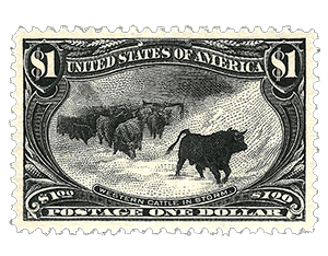 cattle in the storm stamp